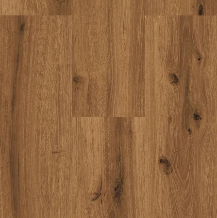 Ecoline Click 9593 Dub královský tmavý