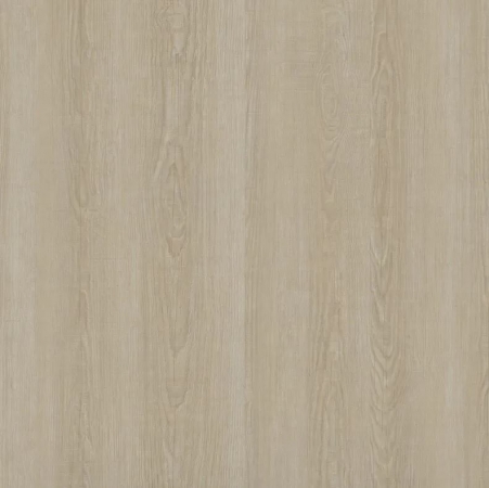 Ecoline Click 9550 Borovice islandská