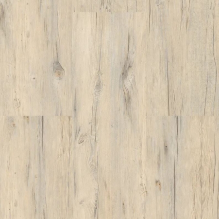 Ecoline Click 9503 Borovice bílá rustikal