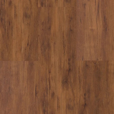 Ecoline Click 9505 Ořech vlašský