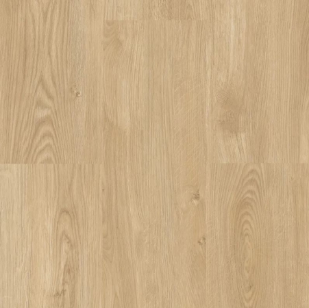 Ecoline Click 9551 Dub champagne