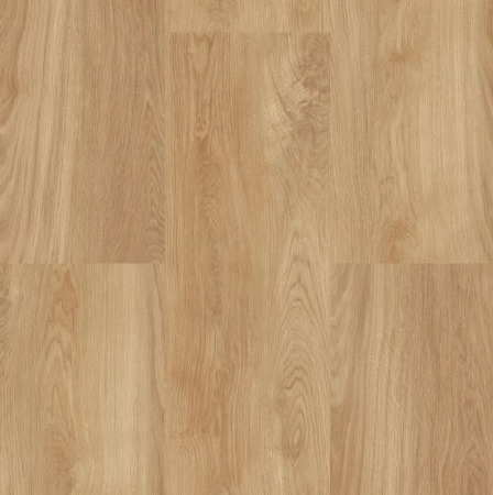 Ecoline Click 9509 Dub classic