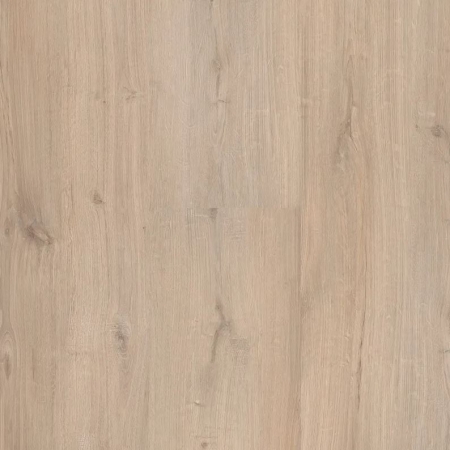 Ecoline Click 9520 Dub krémový