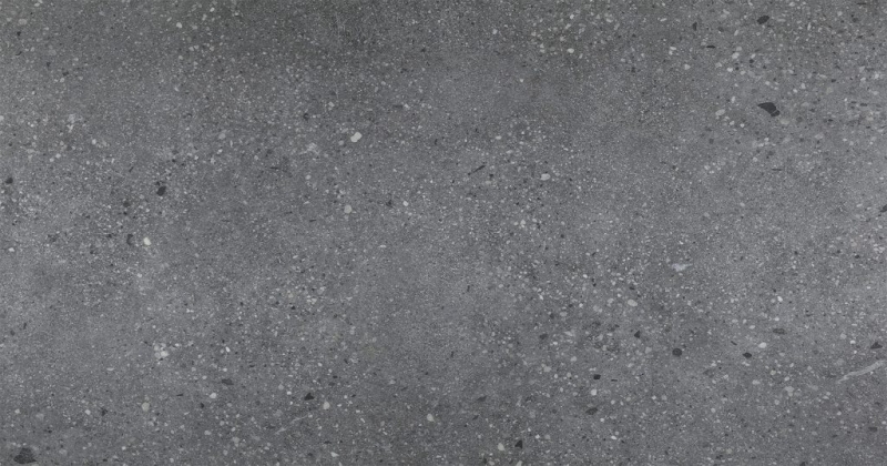 Teraso tmavé SPC RIGID