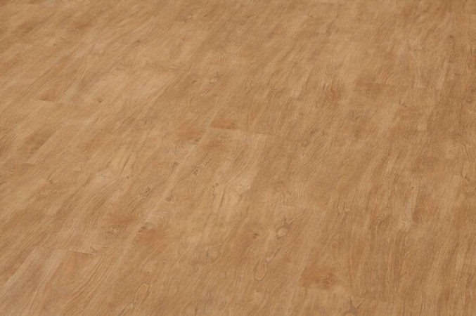 1806 DUB NATUR 0,3 LEPENÝ