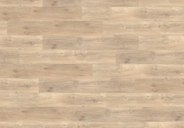 79994 DUB JASMÍNOVÝ