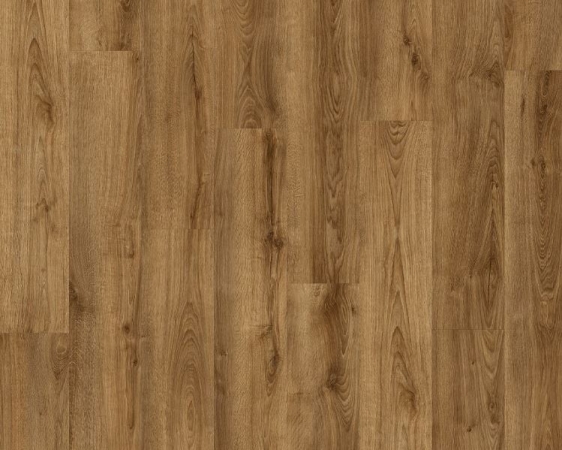 83853 DUB APOLLON 0,55 LEPENÉ