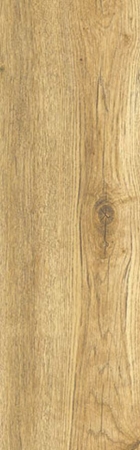 24279 DUB CHALUPÁŘSKÝ