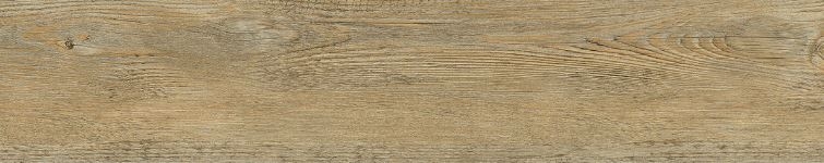 24242 BOROVICE COLOMBIA VÝPRODEJ