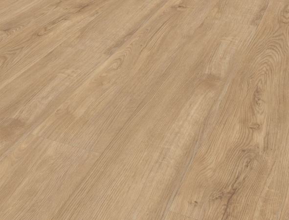 40012 DUB KARAMELOVÝ