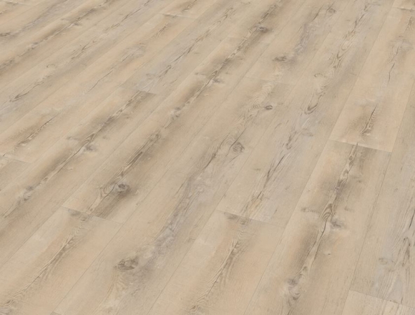 40003 BOROVICE SEVERSKÁ