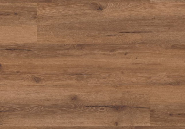 2030 DUB KNÍŽECÍ – RIGID