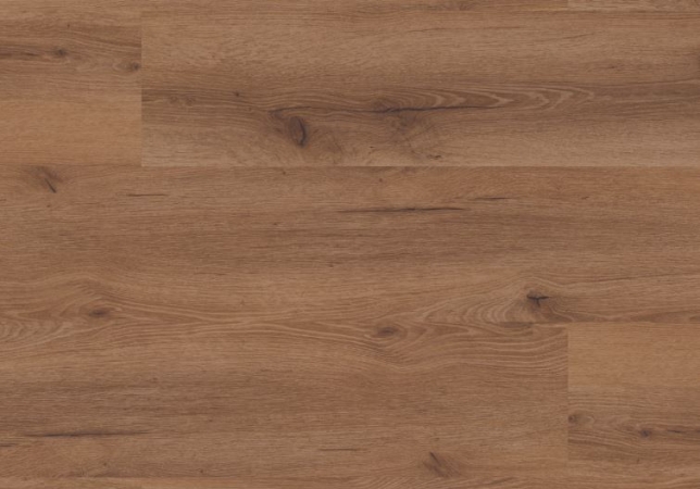 2040 DUB VÉVODSKÝ – RIGID