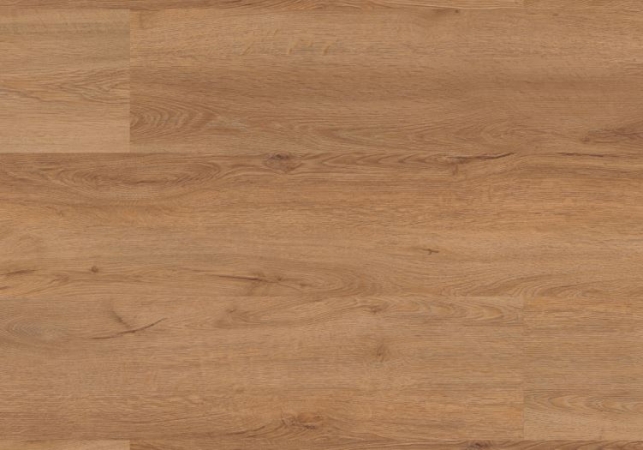 1020 DUB KRÁLOVSKÝ – RIGID