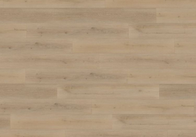 9953 DUB EVROPSKÝ CLICK RIGID