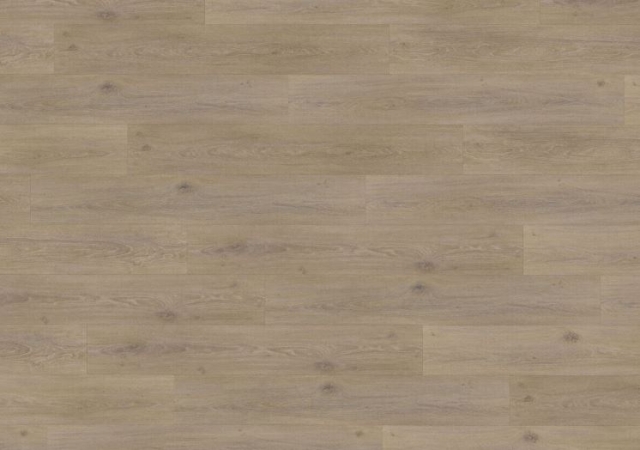 9952 DUB KORÁLOVÝ CLICK RIGID