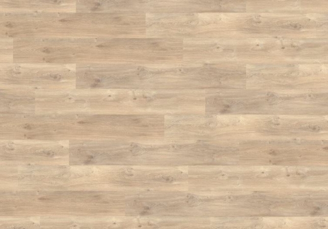 79994 DUB JASMÍNOVÝ CLICK – RIGID