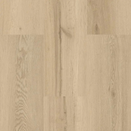 9595 Dub elegantní natur