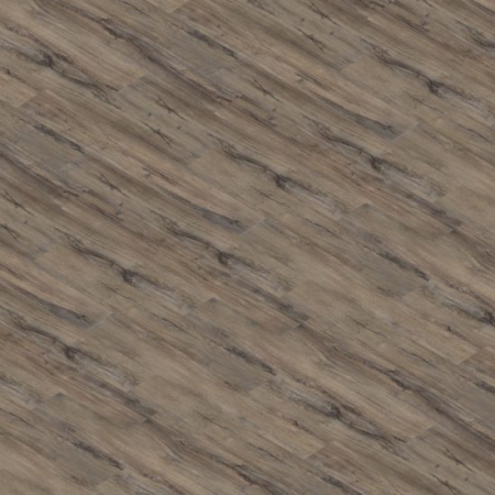 DUB PODZIMNÍ 12163-1